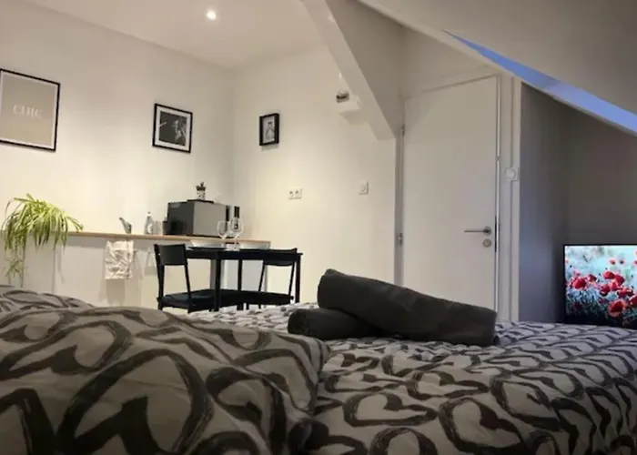 Soh Rent Strasbourg Studio 3 Tv-Wifi Proche Gare